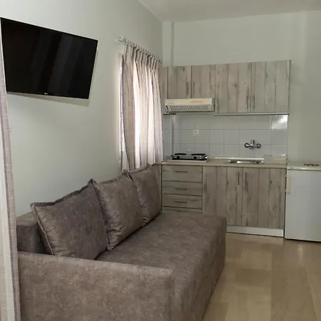 Vicky Ханиоти